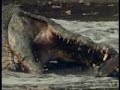 Crocodile Fight to the Death