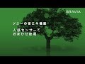 新BRAVIA Vシリーズ 従来比約40%減の低消費電力を実現
