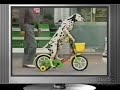 ZeitGeist - Bicycle Riding Dog