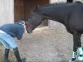 I couldn't love this horse more.