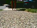Bug\