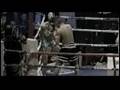 Tomek Makowski Highlight