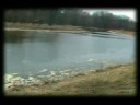 Harris forest preserve in 3D anaglyph (HQ)