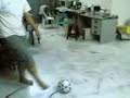 m aka fa hai kick ball
