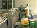 Buenas Practicas de Higiene (HACCP)