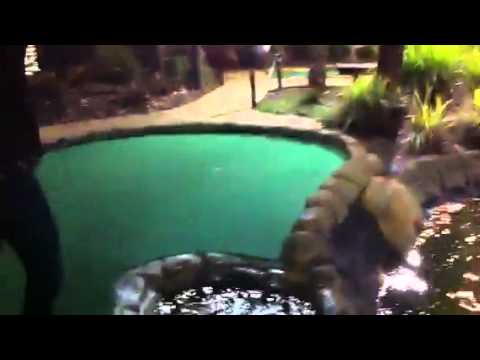 Puppies Youtubefunny on Planking Puppy  Amazing Putt Putt Shot    Funny Status Updates