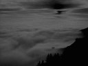 Suicidal and Depressive Black Metal Pt. I
