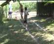 HANDZIC SOCCER DINASTY