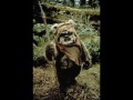 Ewok Rave