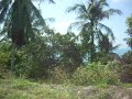 DSCN1502.wma.MOV
