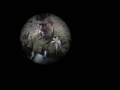videos de AIRGRAB TIZZY