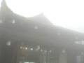 videos de 萬年寺