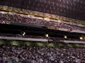 2007 Spurs Alamodome Celebration
