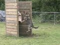 Delta v Trostberg, SchH1 C Part 1.wmv