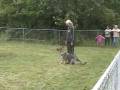 videos de Delta v Trostberg, SchH1 C Part 1.wmv