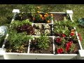 Eco Solutions for a Happy Planet - Square Foot Gardening