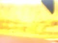 タマダ　レンタルカート耐久２Ｈ　09.12.06  4/5