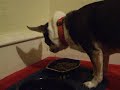 Chowhound: Elvis eats, part 2