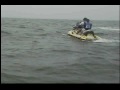 Jet Ski Rentals... :: Singh Family spots dolphins while riding. Dolphins begin to swim... View Video