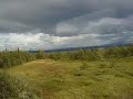 Roadmovie till fj�lls