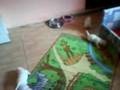 videos de SUS PRIMEROS PASITOS.