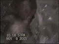 dead-baby-alien-caught-on-video.html