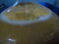Fermenting Hard Apple Cider Fermenting Hard Apple Cider