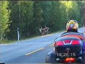 Africa Twin Perugia Nordkapp part.6/18 HQ