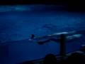 Sea paradise Yokohama Acuario de delfines5