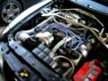 videos de Procharger P1SC Mustang GT