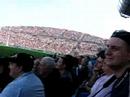 Rugby! Wave