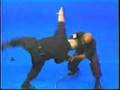 Master Leonard C. Holifield - Close Quarter Fighting Tactics