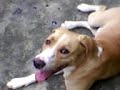 Meu filho morto de cancera, num puxo po pai dele non ¬¬'