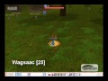 flyff   giant hunting part 1    by xxuniqu3bl4d3xx 