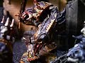 WARHAMMER 40000 CHAOS SPACE MARINES