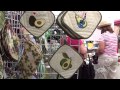 Avocado Festival 2013 - annual favorite draws crowd of over 70,000