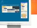 How To Use Zoippe: A Live Tutorial Talk For Free