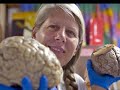 Dr. Jill Bolte Taylor and the Law of Attraction