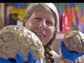 Dr. Jill Bolte Taylor and the Law of Attraction