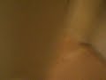 Chicofield