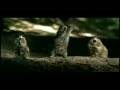 videos de 081125義大利倒數六天.avi