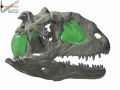 WitmerLab: Majungasaurus Antorbital and Tympanic Sinuses WitmerLab: Majungasaurus Antorbital and Tympanic Sinuses