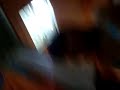 La desvirgacion de Noee Ö