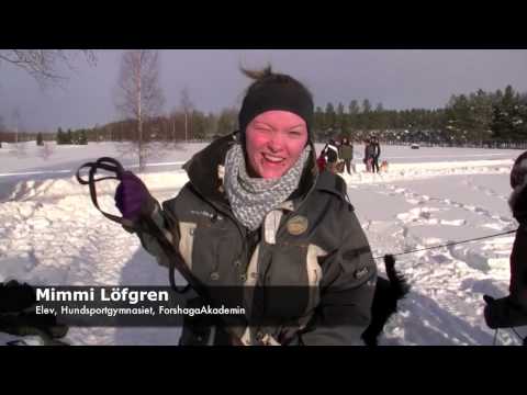 Se filmklipp!