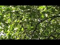 Piano Relax by Hjortur Manele-Gratis.net