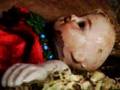 Faun Fables With Words and Cake Video