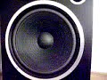 Altus 140 + wzmacniacz technics