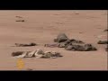 Death and destruction outside Ndjamena - 08 Feb 07