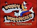 Video Kids - Woodpeckers From Space / P�jaros Carpinteros...