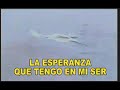 Adventistas:: Video Canto: Señor eres vida y amor